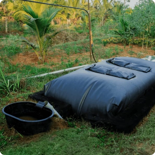 Biogas initiatives